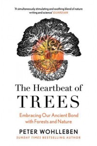 The Heartbeat of Trees Embracing Our Ancient Bond With Forests and Nature