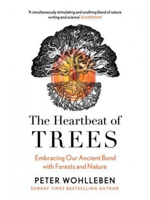 The Heartbeat of Trees Embracing Our Ancient Bond With Forests and Nature