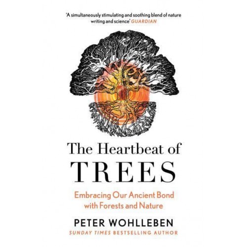 The Heartbeat of Trees Embracing Our Ancient Bond With Forests and Nature