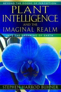 Plant Intelligence and the Imaginal Realm Beyond the Doors of Perception Into the Dreaming Earth