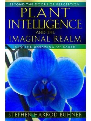 Plant Intelligence and the Imaginal Realm Beyond the Doors of Perception Into the Dreaming Earth