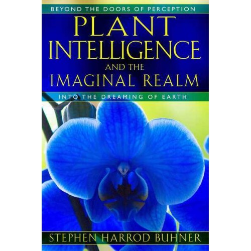 Plant Intelligence and the Imaginal Realm Beyond the Doors of Perception Into the Dreaming Earth