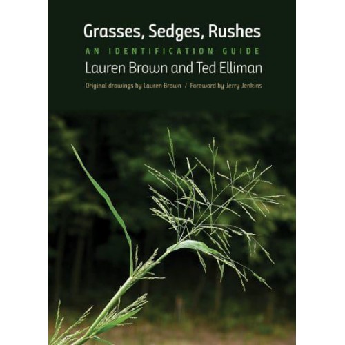 Grasses, Sedges, Rushes An Identification Guide