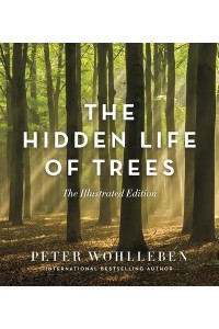 The Hidden Life of Trees