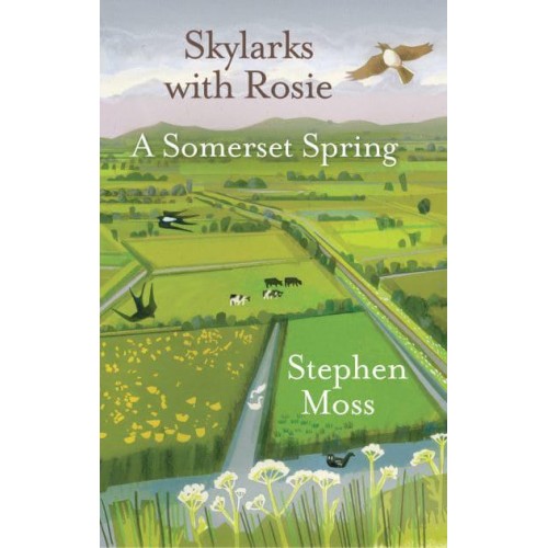 Skylarks With Rosie A Somerset Spring