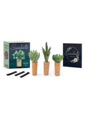 Succulents Magnet Set - RP Minis