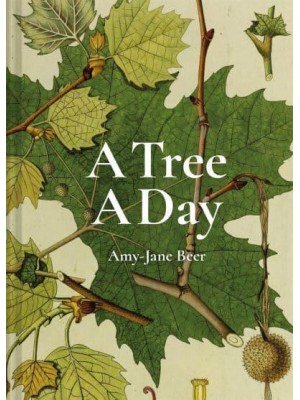 A Tree a Day