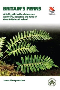 Britain's Ferns A Field Guide to the Clubmosses, Quillworts, Horsetails and Ferns of Great Britain and Ireland - WildGuides