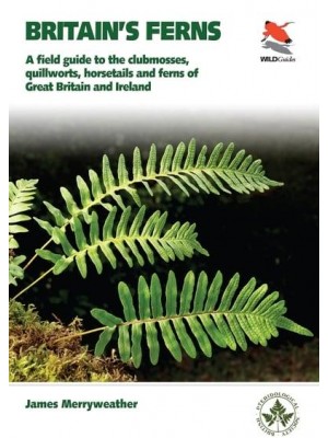 Britain's Ferns A Field Guide to the Clubmosses, Quillworts, Horsetails and Ferns of Great Britain and Ireland - WildGuides