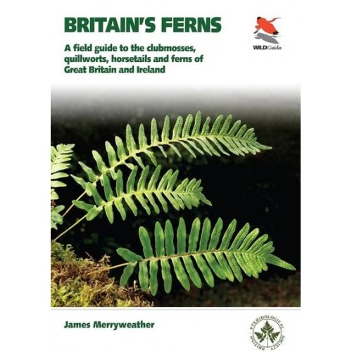 Britain's Ferns A Field Guide to the Clubmosses, Quillworts, Horsetails and Ferns of Great Britain and Ireland - WildGuides