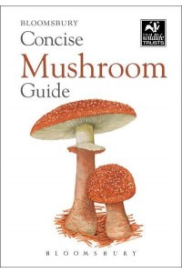 Concise Mushroom Guide - The Wildlife Trusts