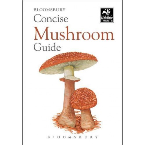 Concise Mushroom Guide - The Wildlife Trusts