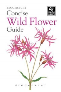 Concise Wild Flower Guide - The Wildlife Trusts