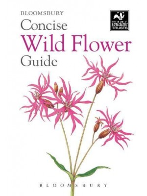 Concise Wild Flower Guide - The Wildlife Trusts