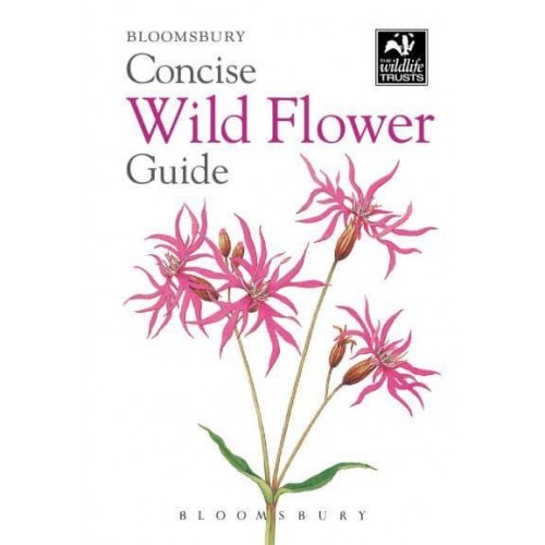 Concise Wild Flower Guide - The Wildlife Trusts