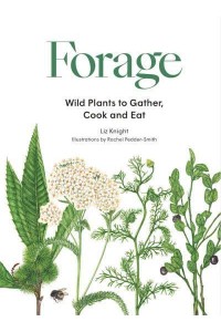 Forage Wild Plants to Gather and Eat