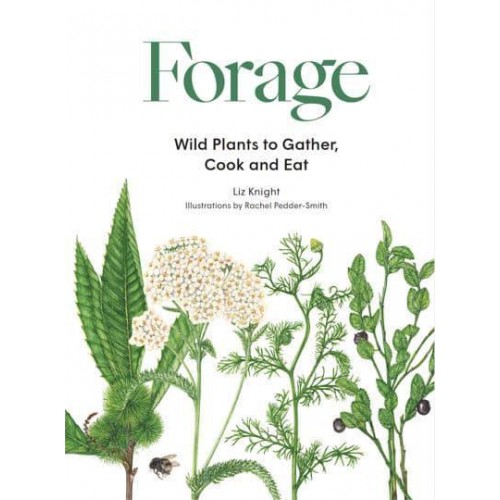 Forage Wild Plants to Gather and Eat