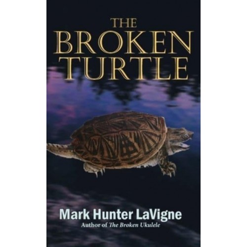 The Broken Turtle