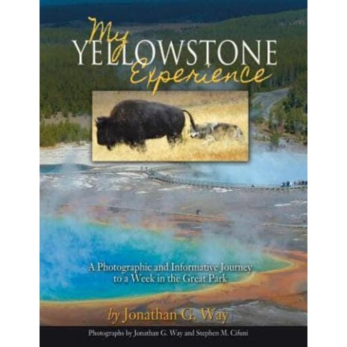 My Yellowstone Experience