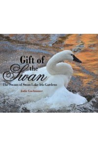 Gift of the Swan: The Swans of Swan Lake Iris Gardens