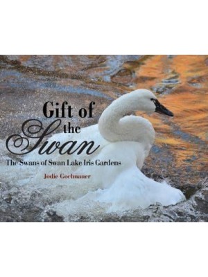 Gift of the Swan: The Swans of Swan Lake Iris Gardens