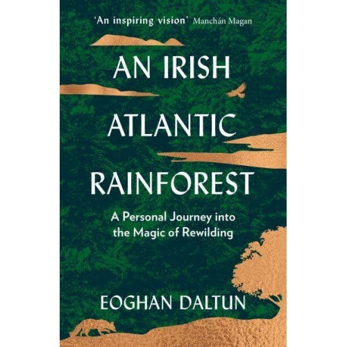 An Irish Atlantic Rainforest A Personal Journey Into the Magic of Rewilding