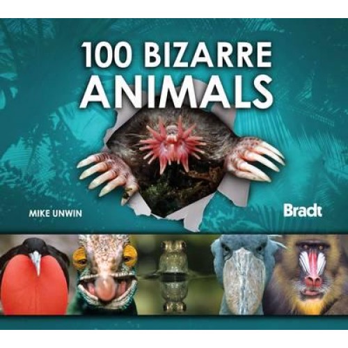 100 Bizarre Animals
