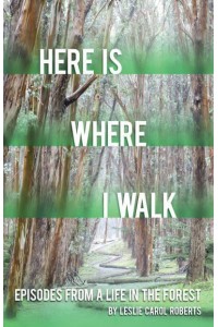 Here Is Where I Walk