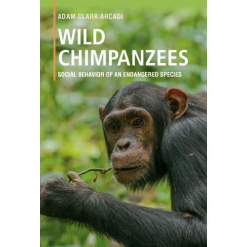 Wild Chimpanzees Social Behaviour of an Endangered Species
