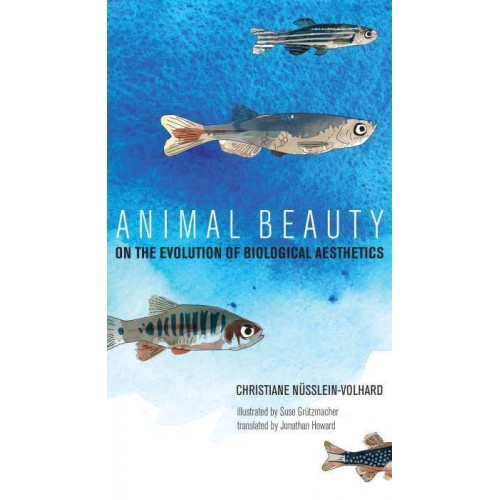 Animal Beauty On the Evolution of Biological Aesthetics - The MIT Press