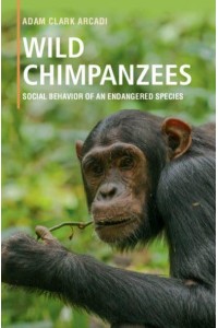 Wild Chimpanzees Social Behavior of an Endangered Species