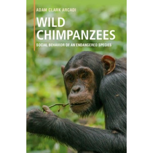 Wild Chimpanzees Social Behavior of an Endangered Species