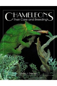 Chameleons Their Care and Breeding