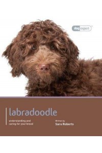 Labradoodle Understanding and Caring for Your Dog - Dog Expert