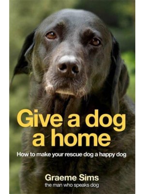 Give a Dog a Home How to Make Your Rescue Dog a Happy Dog