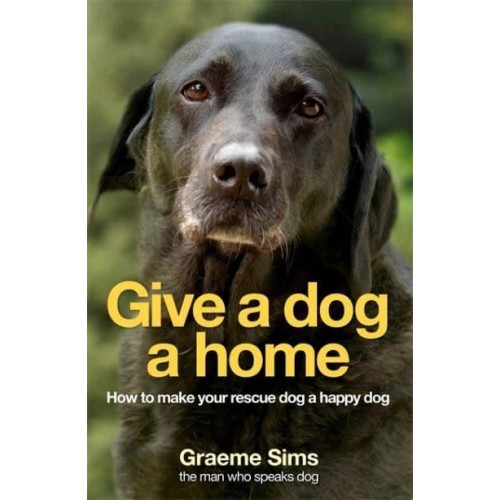 Give a Dog a Home How to Make Your Rescue Dog a Happy Dog