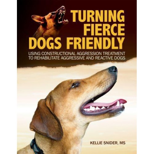 Turning Fierce Dogs Friendly