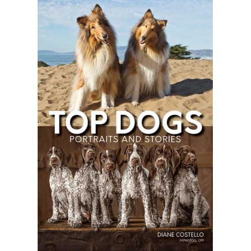 Top Dogs Portraits and Stories