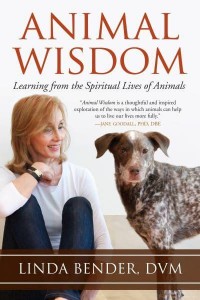 Animal Wisdom Learning from the Spiritual Lives of Animals - Sacred Activism