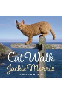 Cat Walk