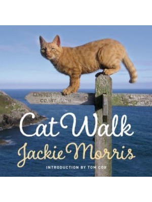 Cat Walk