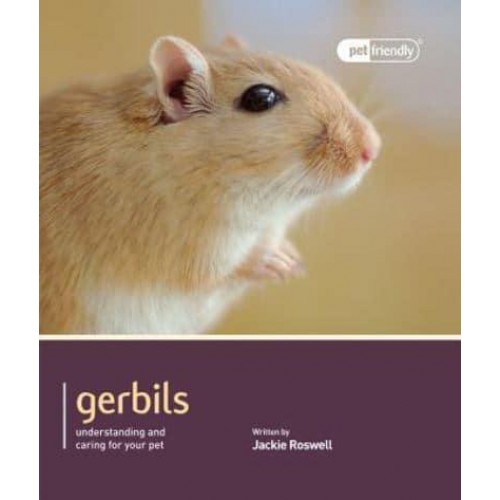 Gerbils Understanding and Caring for Your Pet - Pet Friendly