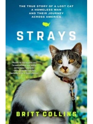 Strays The True Story of a Lost Cat, a Homeless Man, and Their Journey Across America