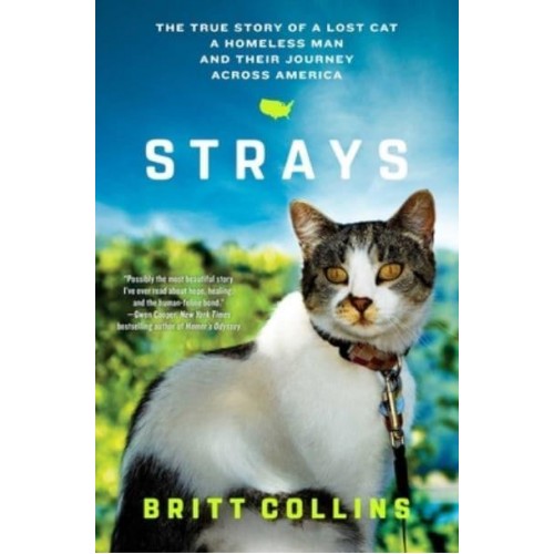Strays The True Story of a Lost Cat, a Homeless Man, and Their Journey Across America