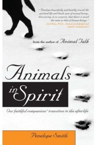 Animals in Spirit Our Faithful Companions' Transition to the Afterlife