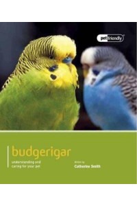 Budgerigar - Pet Friendly
