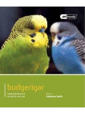 Budgerigar - Pet Friendly