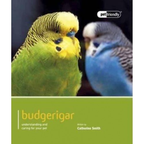 Budgerigar - Pet Friendly