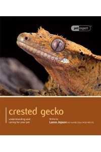 Crested Gecko Understanding and Caring for Your Pet - Pet Expert