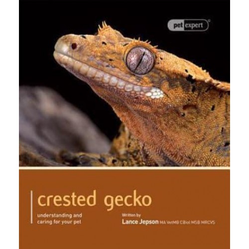 Crested Gecko Understanding and Caring for Your Pet - Pet Expert